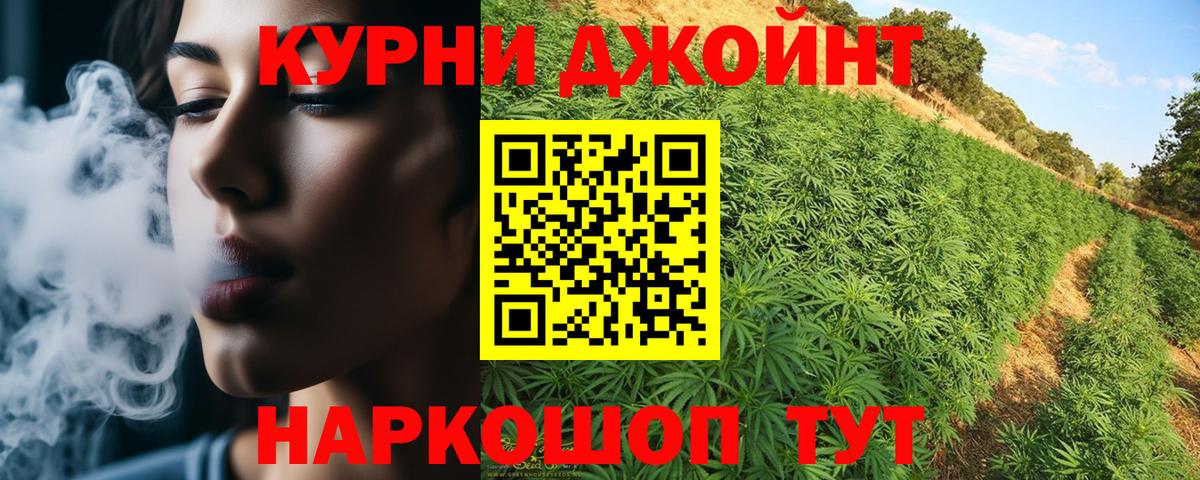 Бошки Шишки семена Ставрополь